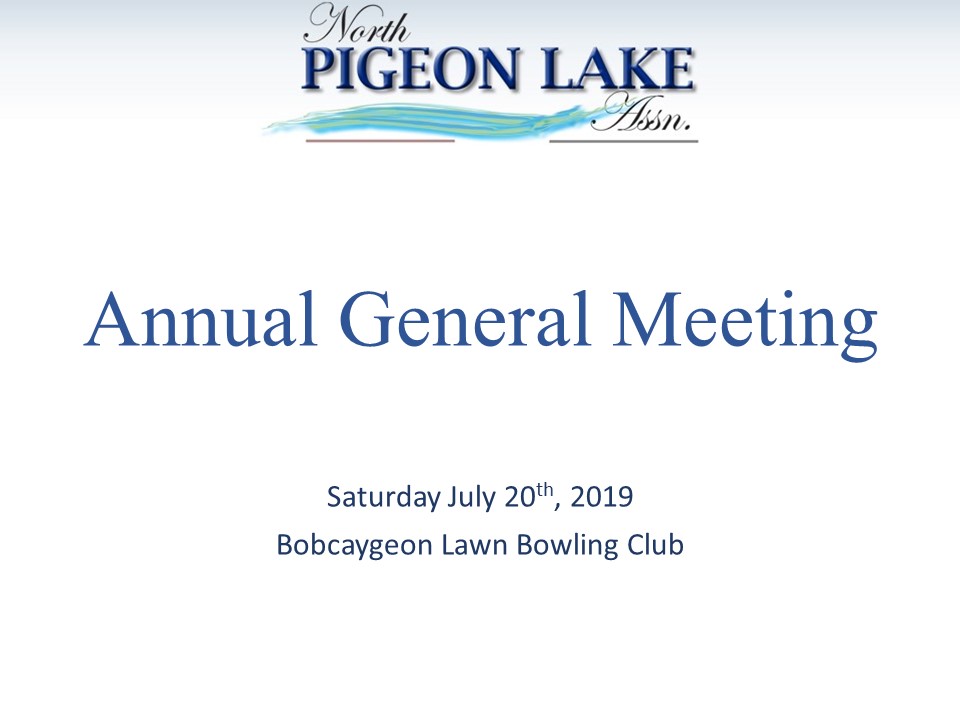 Annual General Meeting 2019